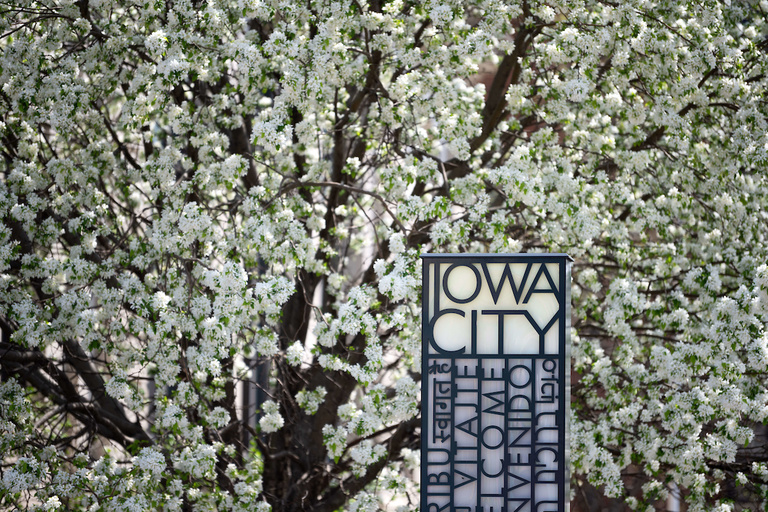 An Iowa City sign in front of a blooming tree